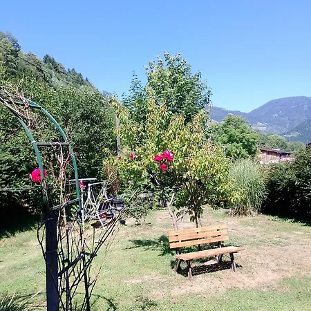 Haus Steiner